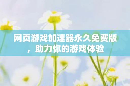 网页游戏加速器永久免费版图片