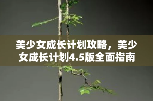 美少女成长计划攻略图片