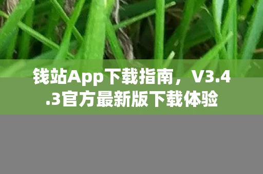 3官方最新版下载体验图片
