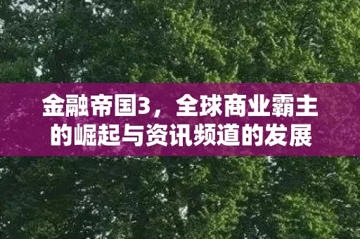 全球商业霸主的崛起与资讯频道的发展图片