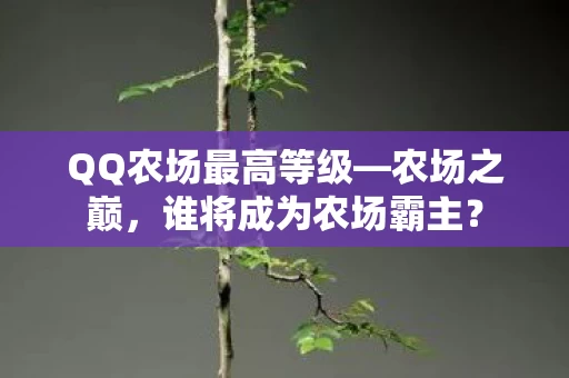 QQ农场最高等级图片