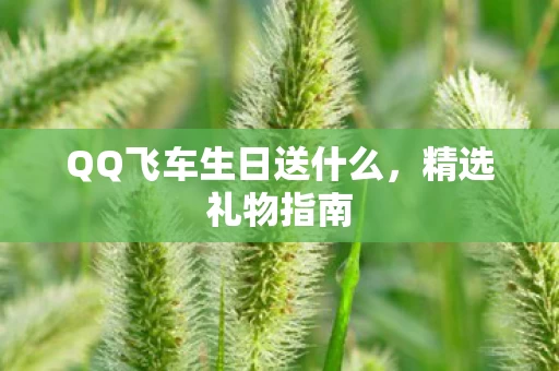 QQ飞车生日送什么图片