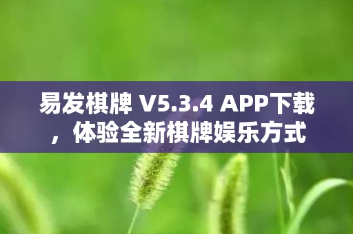体验全新棋牌娱乐方式图片