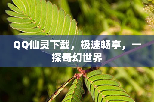 QQ仙灵下载图片