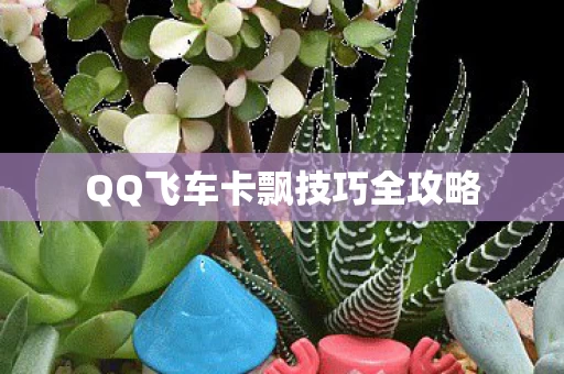 QQ飞车卡飘技巧全攻略图片
