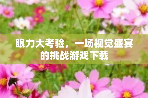 一场视觉盛宴的挑战游戏下载图片
