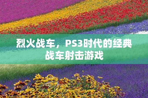 PS3时代的经典战车射击游戏图片