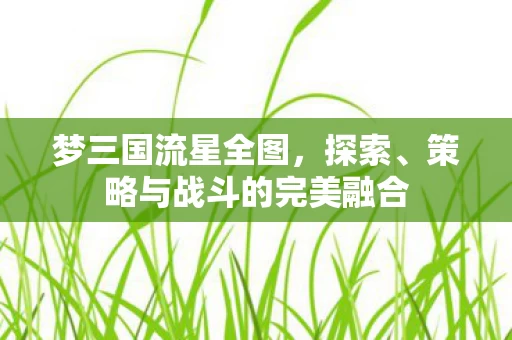 策略与战斗的完美融合图片
