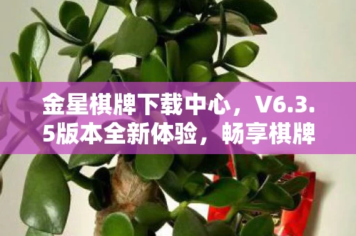 金星棋牌下载中心图片