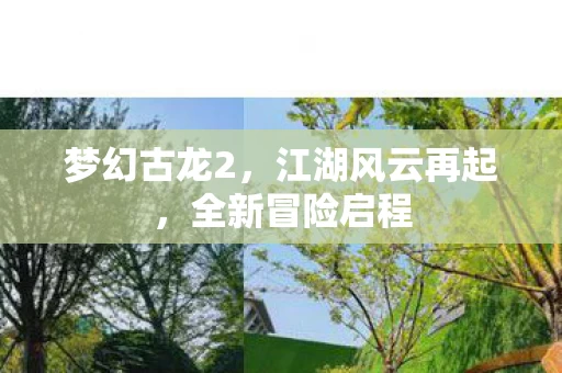 江湖风云再起图片