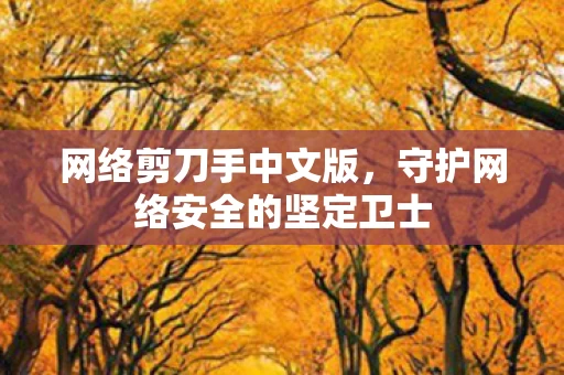 守护网络安全的坚定卫士图片