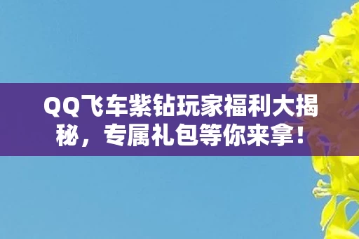 QQ飞车紫钻玩家福利大揭秘图片