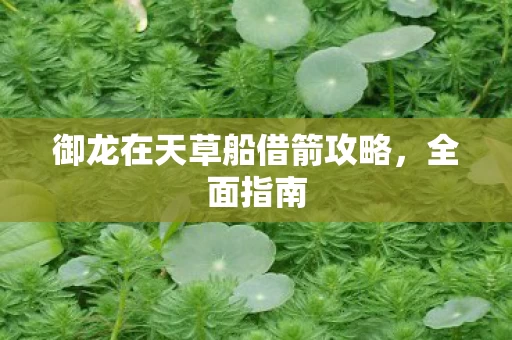御龙在天草船借箭攻略图片