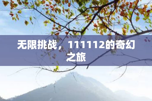 111112的奇幻之旅图片
