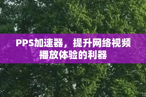 提升网络视频播放体验的利器图片