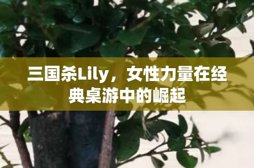 女性力量在经典桌游中的崛起图片