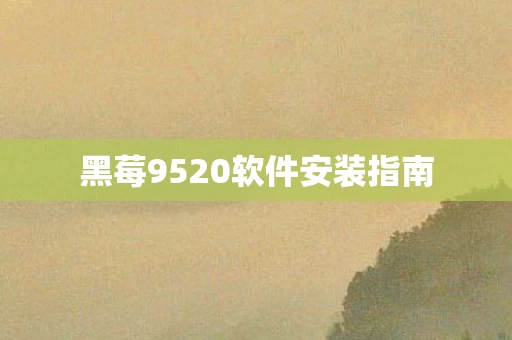 黑莓9520软件安装指南图片