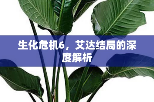 艾达结局的深度解析图片