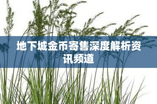 地下城金币寄售深度解析资讯频道图片