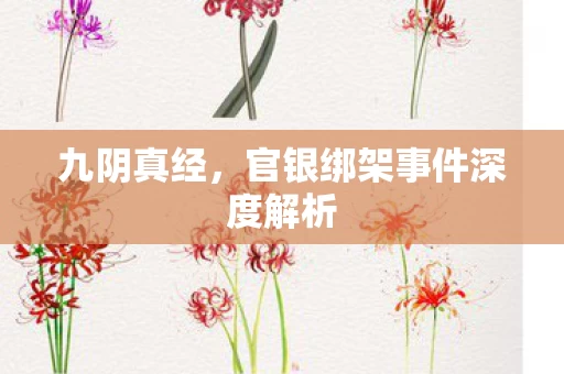 官银绑架事件深度解析图片
