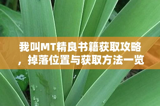 我叫MT精良书籍获取攻略图片