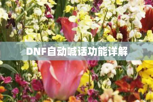 DNF自动喊话功能详解图片