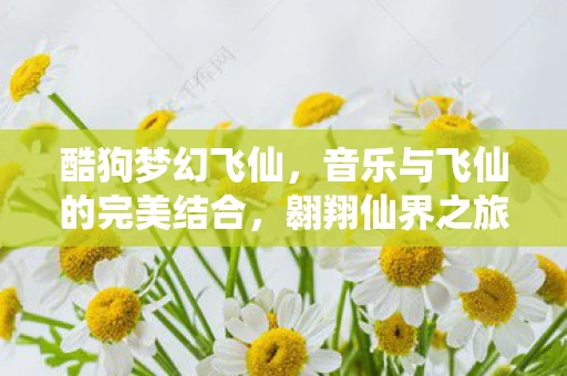 音乐与飞仙的完美结合图片