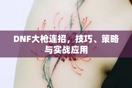 DNF大枪连招图片