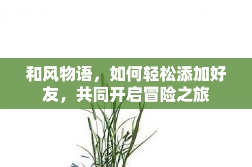 如何轻松添加好友图片