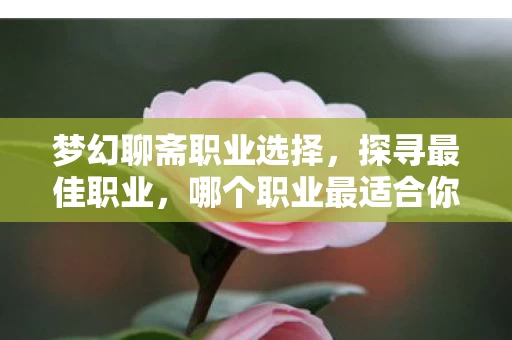 梦幻聊斋职业选择图片