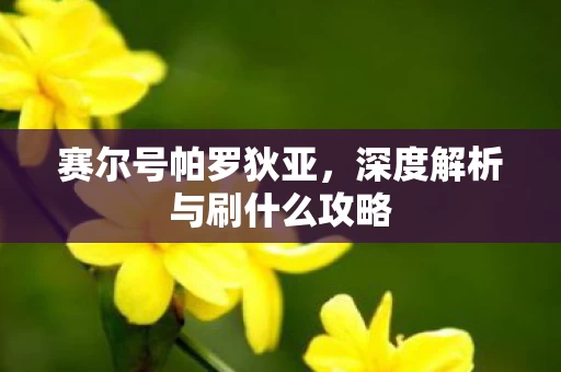 深度解析与刷什么攻略图片