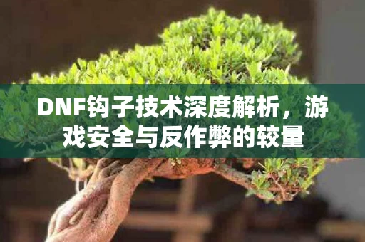 DNF钩子技术深度解析图片