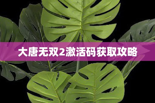 大唐无双2激活码获取攻略图片