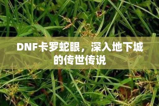 深入地下城的传世传说图片