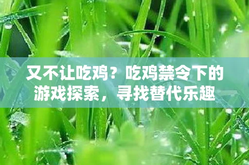 吃鸡禁令下的游戏探索图片