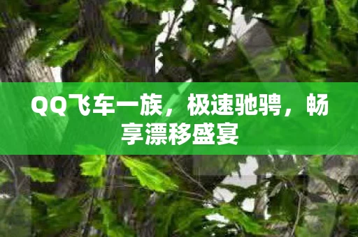 QQ飞车一族图片