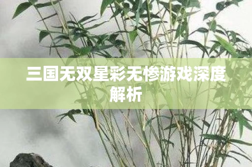 三国无双星彩无惨游戏深度解析图片