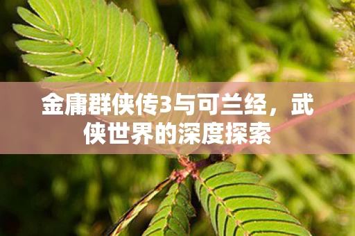 金庸群侠传3与可兰经，武侠世界的深度探索