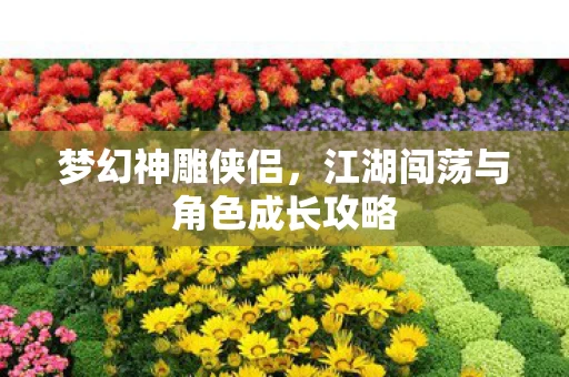 梦幻神雕侠侣，江湖闯荡与角色成长攻略