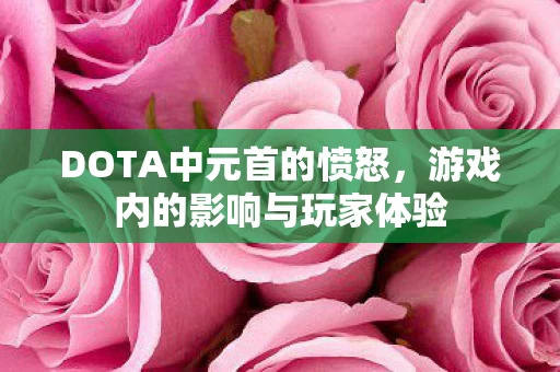 DOTA中元首的愤怒,游戏内的影响与玩家体验 DOTA中元首的愤怒,游戏内的影响与玩家体验