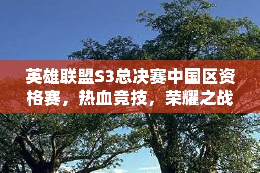 英雄联盟S3总决赛中国区资格赛图片