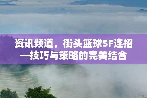 资讯频道,街头篮球SF连招—技巧与策略的完美结合 资讯频道,街头篮球SF连招—技巧与策略的完美结合