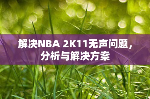 解决NBA 2K11无声问题图片