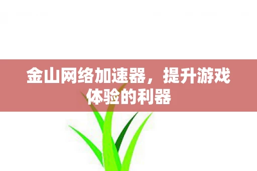 提升游戏体验的利器图片
