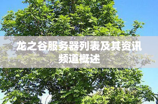 龙之谷服务器列表及其资讯频道概述图片