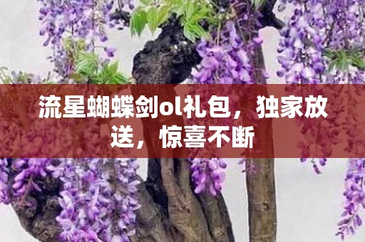 流星蝴蝶剑ol礼包图片