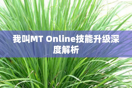 我叫MT Online技能升级深度解析图片
