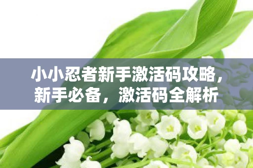 小小忍者新手激活码攻略图片