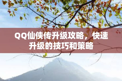 快速升级的技巧和策略图片