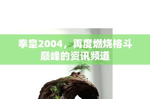 再度燃烧格斗巅峰的资讯频道图片